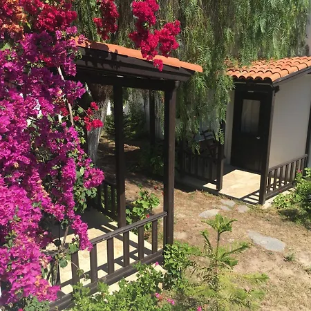 فندق Salinas غومْبيت