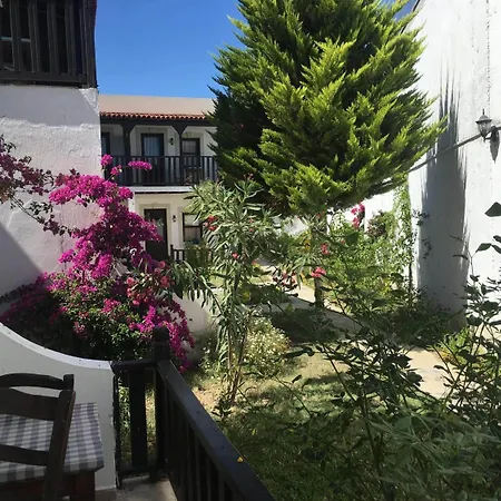 Salinas 3* غومْبيت