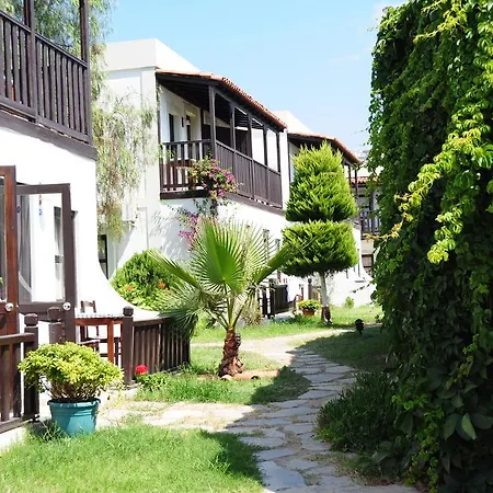 Salinas Bodrum-boutique Concept Hotel Gumbet