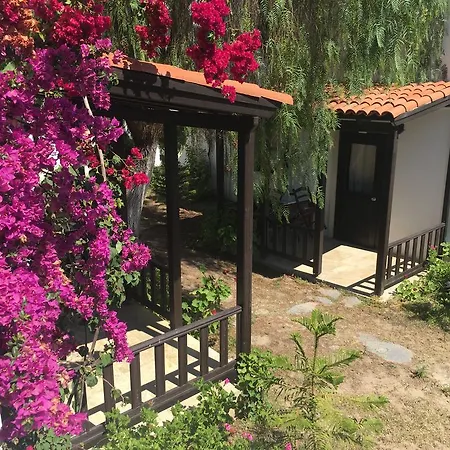Hotel Salinas Bodrum-boutique Concept Gumbet