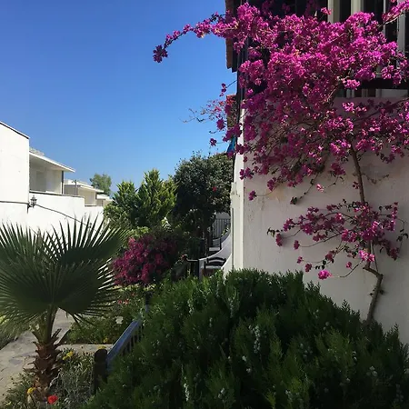 Hotel Salinas Bodrum-boutique Concept 3*