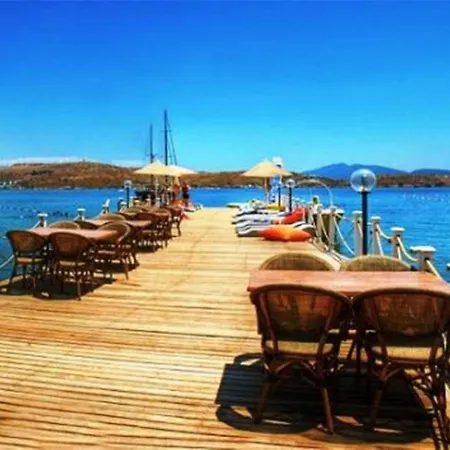 Salinas