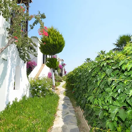 Salinas Bodrum-boutique Concept 3*