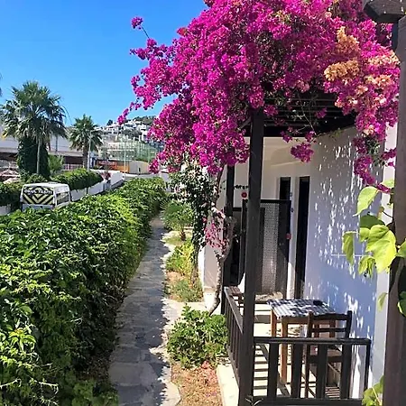 Salinas Ξενοδοχείο