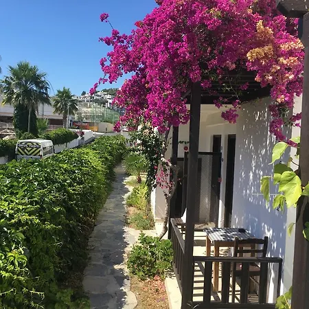 Отель Salinas Bodrum-boutique Concept 3*