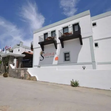 Salinas 3* Gümbet