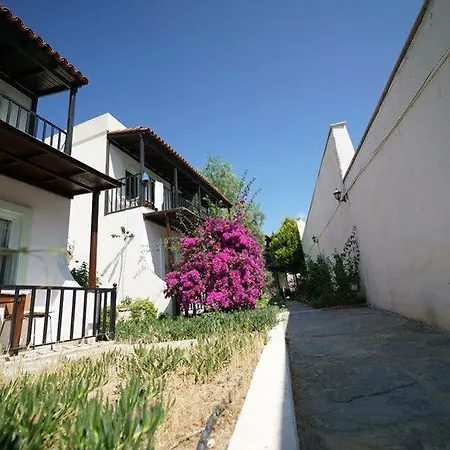 Salinas Otel Gümbet